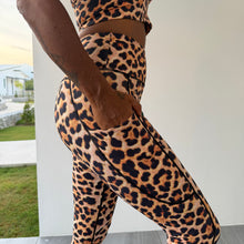 Lataa kuva Galleria-katseluun, LEO Tights
